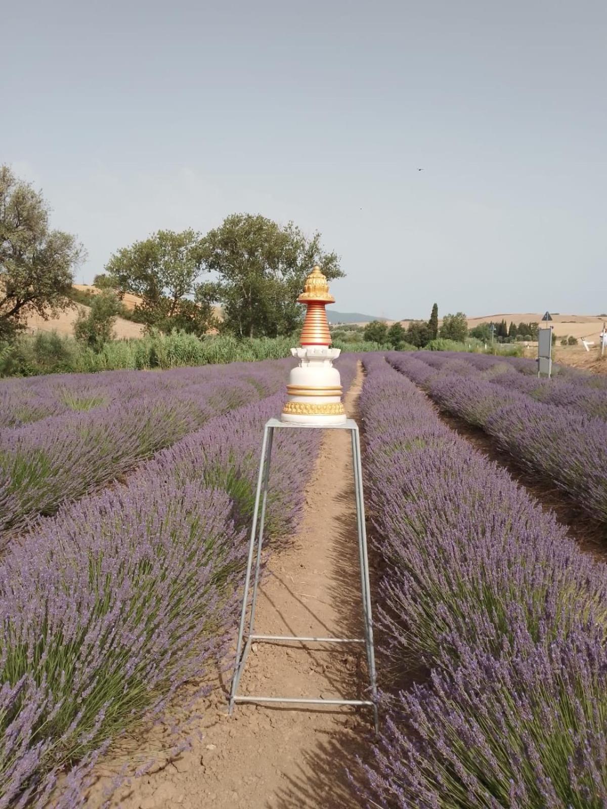 Casa Storica Con Terrazzo Villa Castellina Marittima Dış mekan fotoğraf